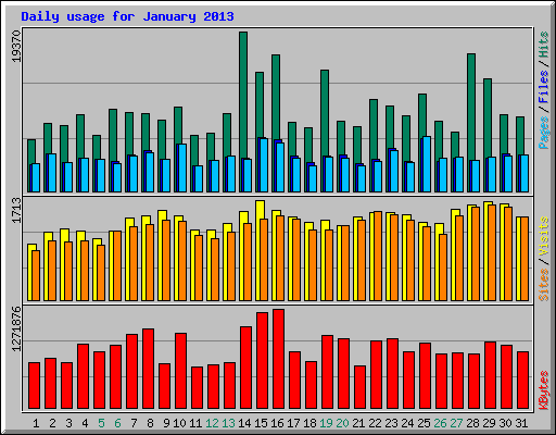 Daily usage for January 2013