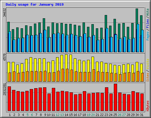 Daily usage for January 2019