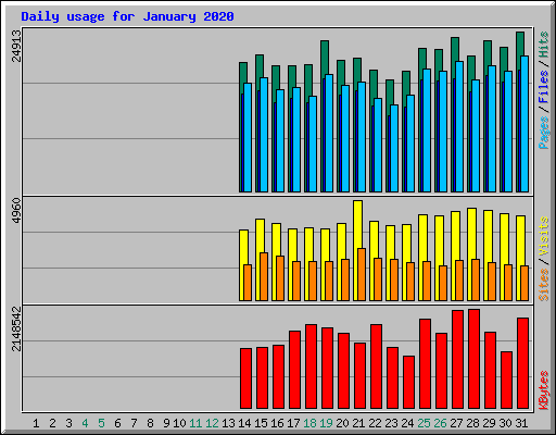 Daily usage for January 2020
