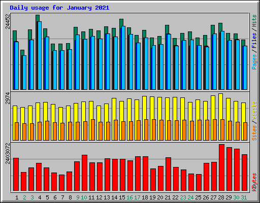 Daily usage for January 2021