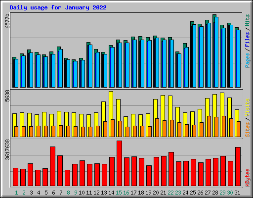 Daily usage for January 2022