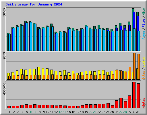 Daily usage for January 2024