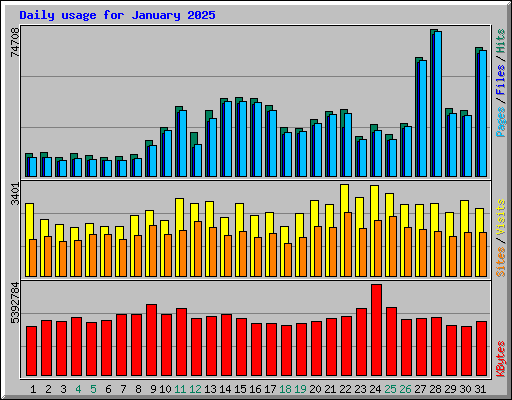 Daily usage for January 2025