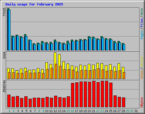 Daily usage for February 2025
