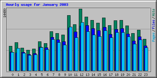 Hourly usage for January 2003