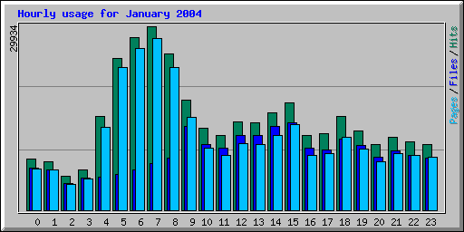 Hourly usage for January 2004