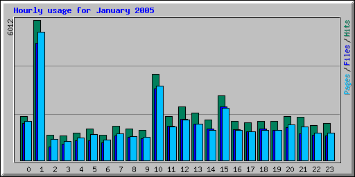 Hourly usage for January 2005