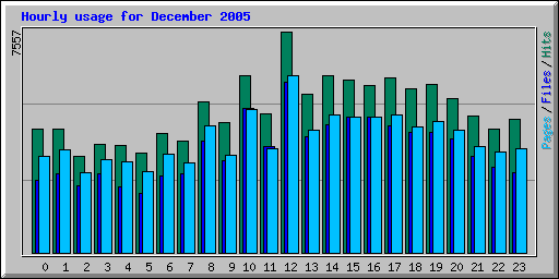 Hourly usage for December 2005