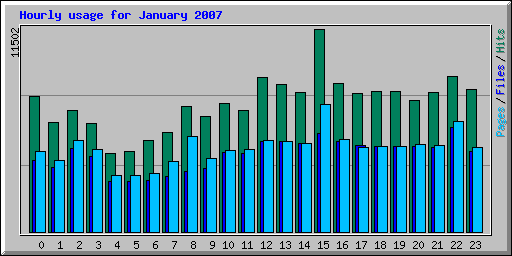 Hourly usage for January 2007