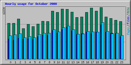 Hourly usage for October 2008