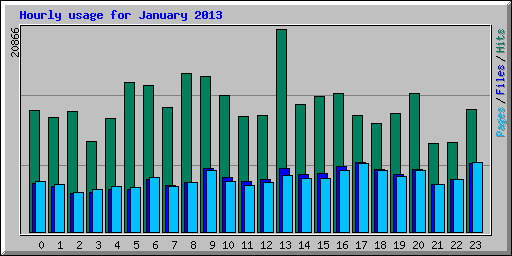 Hourly usage for January 2013