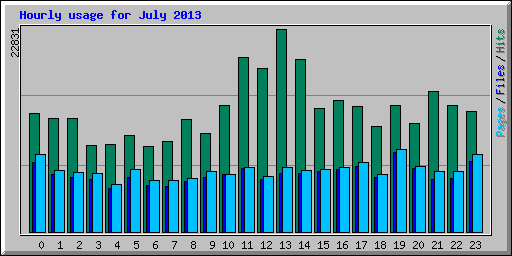 Hourly usage for July 2013