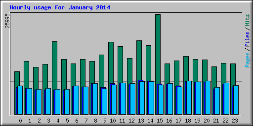 Hourly usage for January 2014