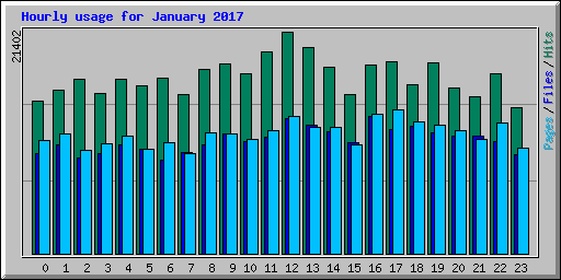 Hourly usage for January 2017