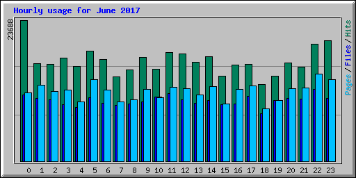 Hourly usage for June 2017