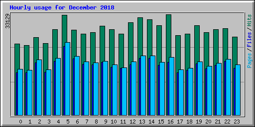 Hourly usage for December 2018