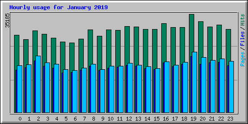 Hourly usage for January 2019