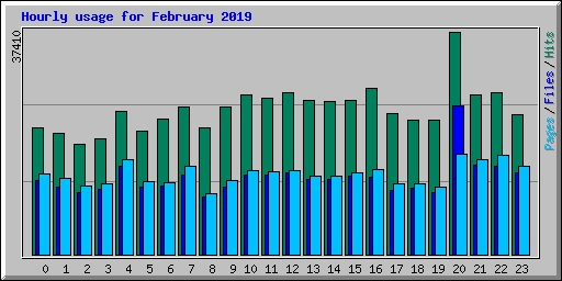 Hourly usage for February 2019