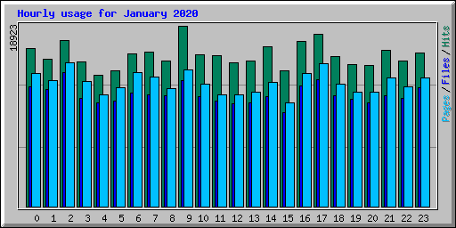 Hourly usage for January 2020