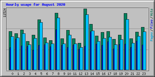 Hourly usage for August 2020