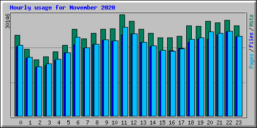 Hourly usage for November 2020