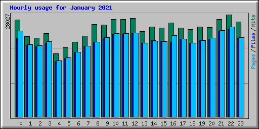 Hourly usage for January 2021