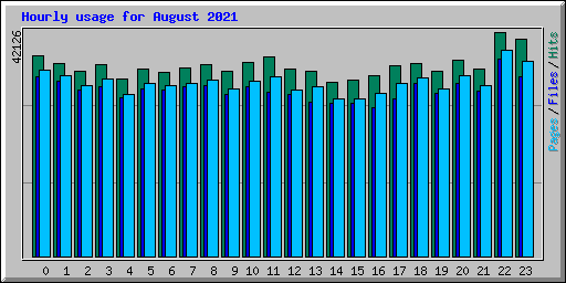 Hourly usage for August 2021