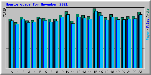 Hourly usage for November 2021