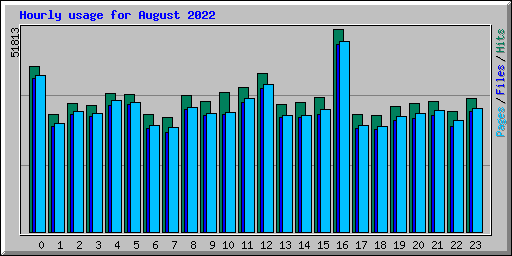 Hourly usage for August 2022