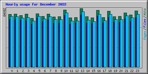 Hourly usage for December 2022