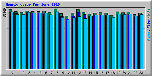 Hourly usage for June 2023