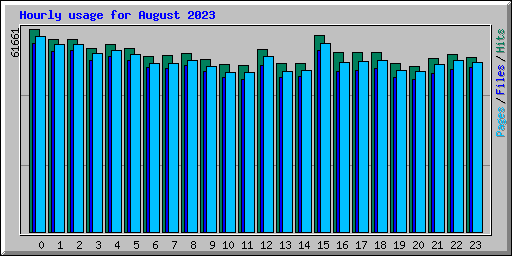Hourly usage for August 2023