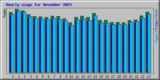Hourly usage for November 2023