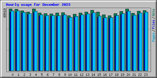Hourly usage for December 2023