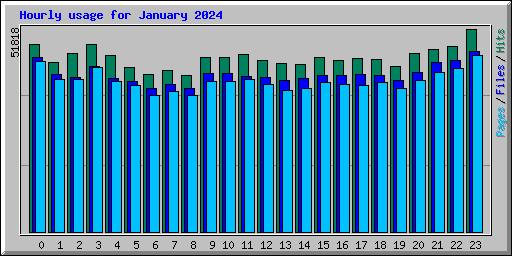 Hourly usage for January 2024