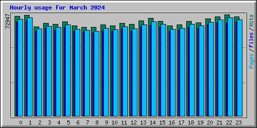 Hourly usage for March 2024