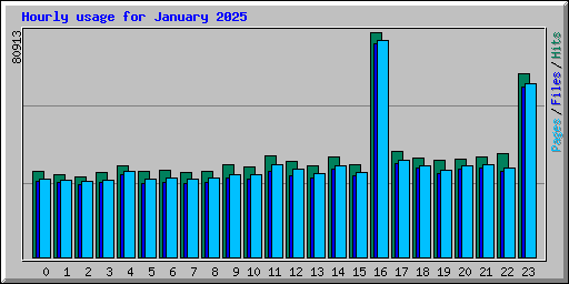 Hourly usage for January 2025