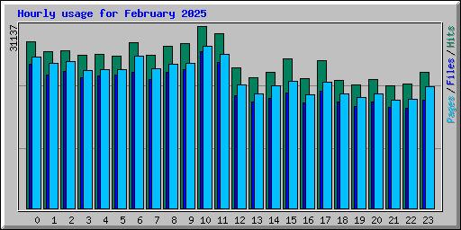 Hourly usage for February 2025