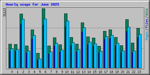 Hourly usage for June 2025