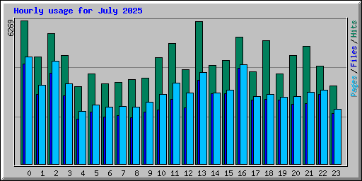 Hourly usage for July 2025