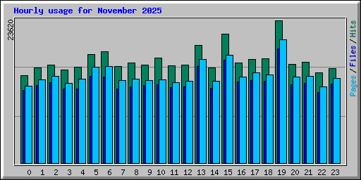 Hourly usage for November 2025
