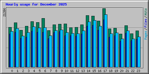 Hourly usage for December 2025