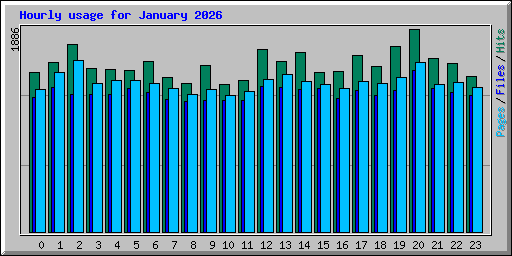 Hourly usage for January 2026