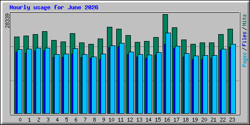 Hourly usage for June 2026