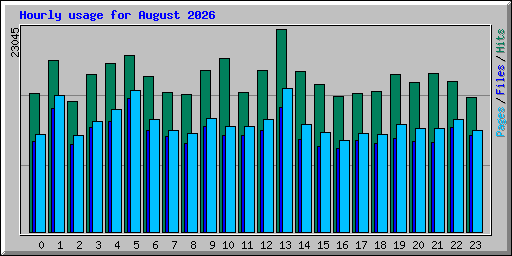 Hourly usage for August 2026